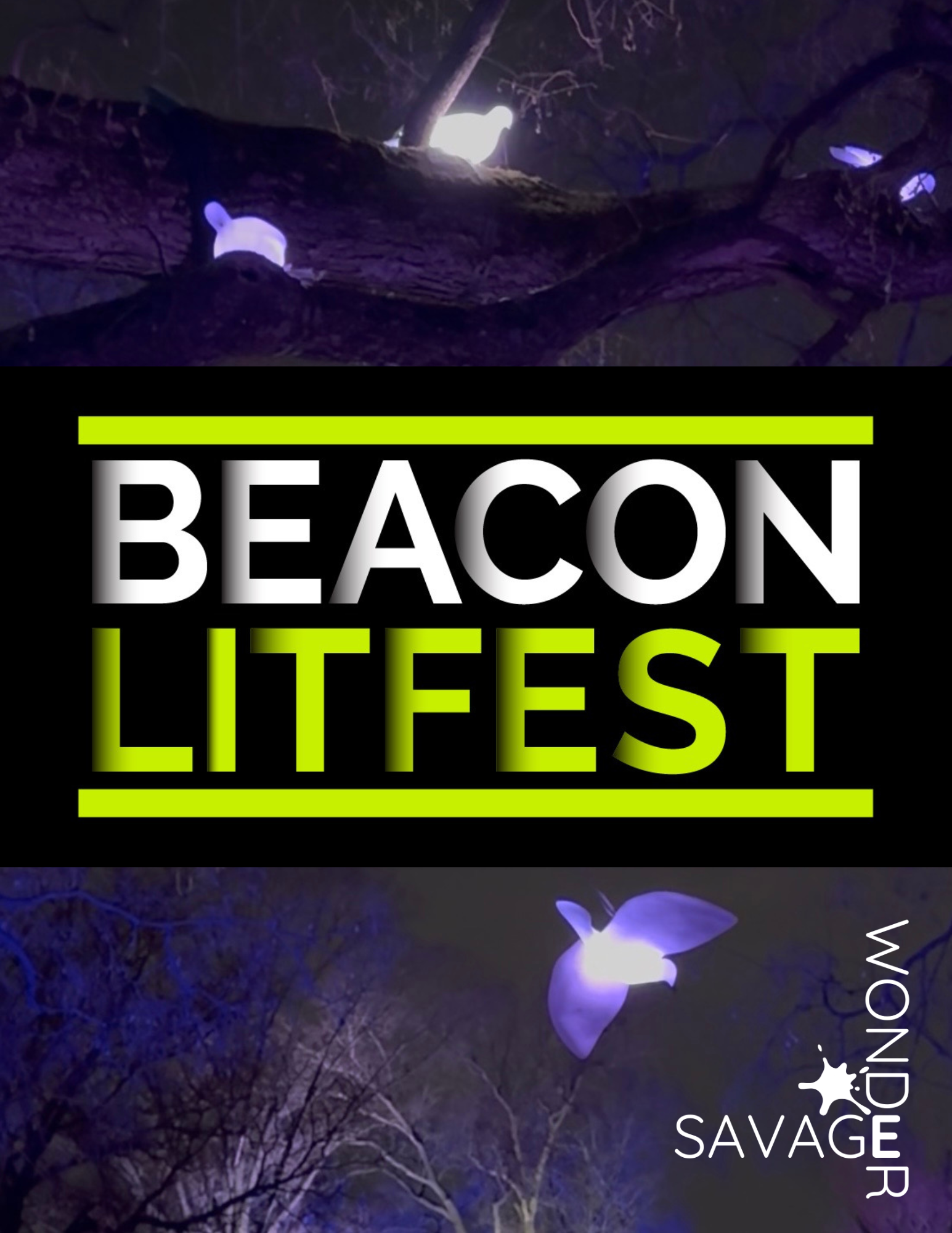 Beacon LitFest (1)